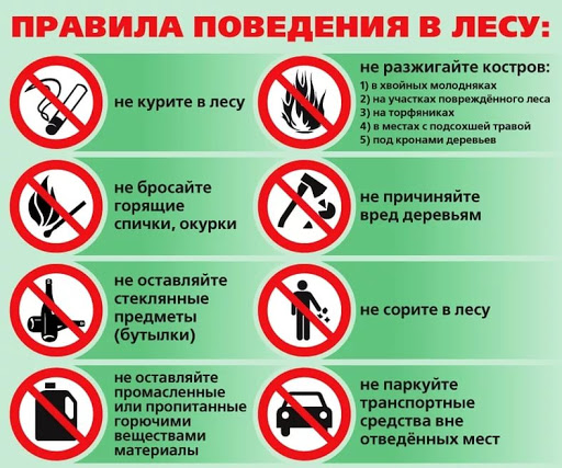 safety-1